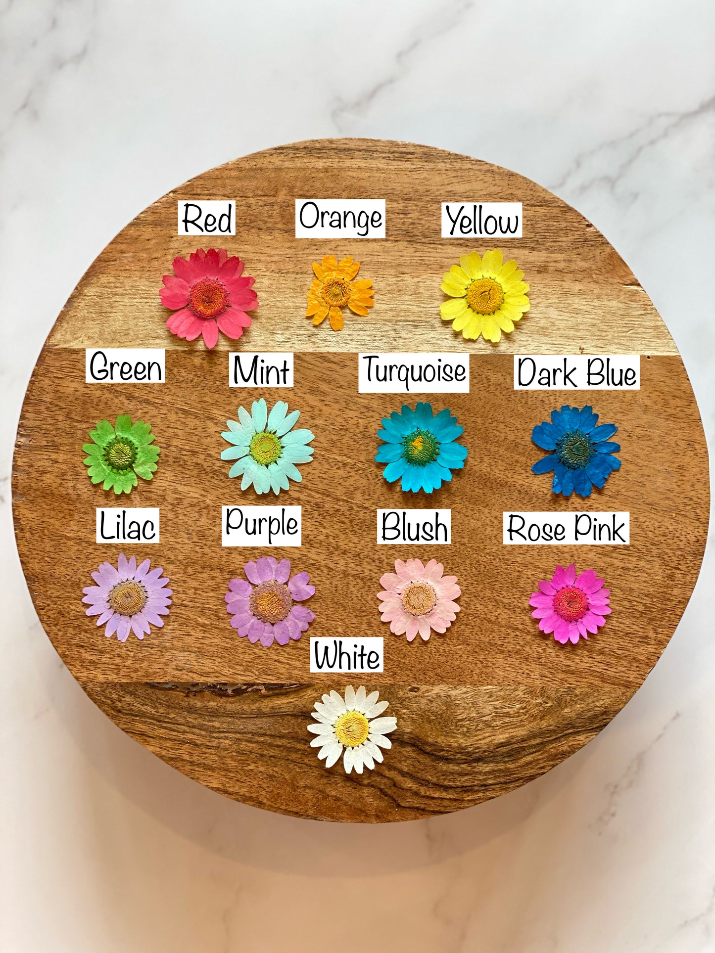 Floral Hair Clips - Set of 2