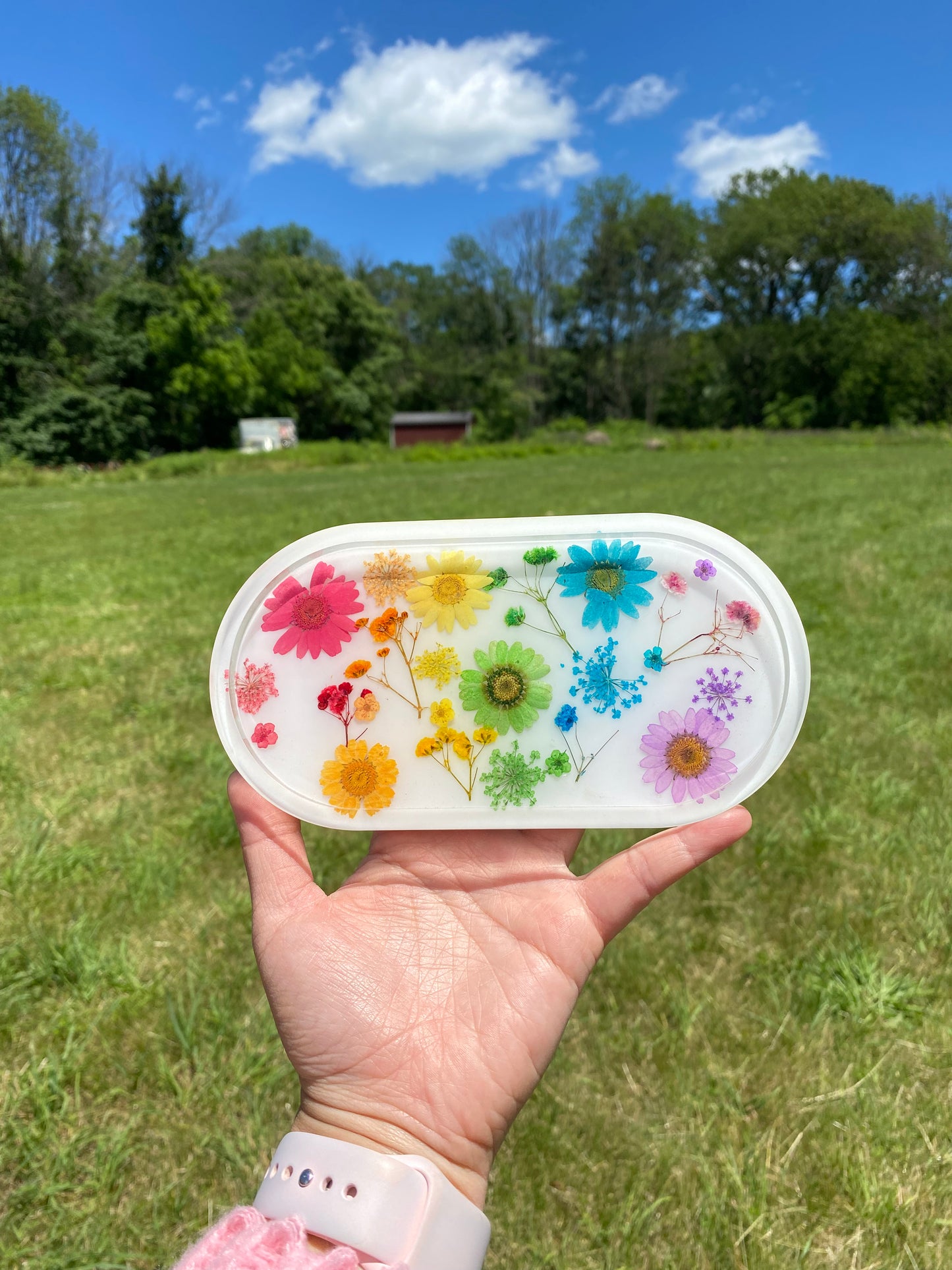 Rainbow Tray
