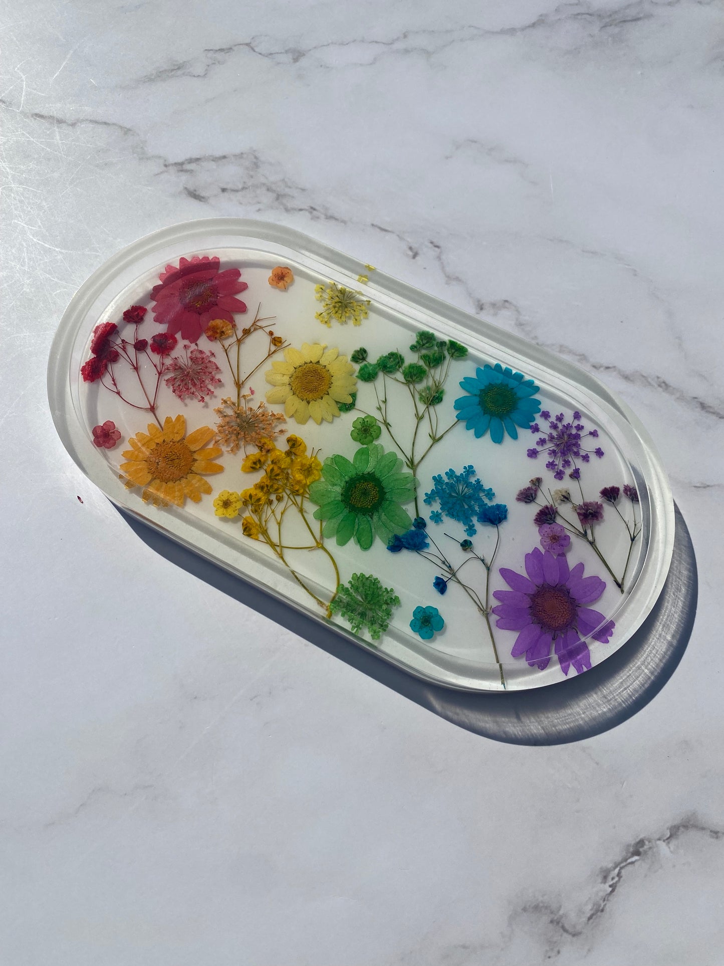 Rainbow Tray
