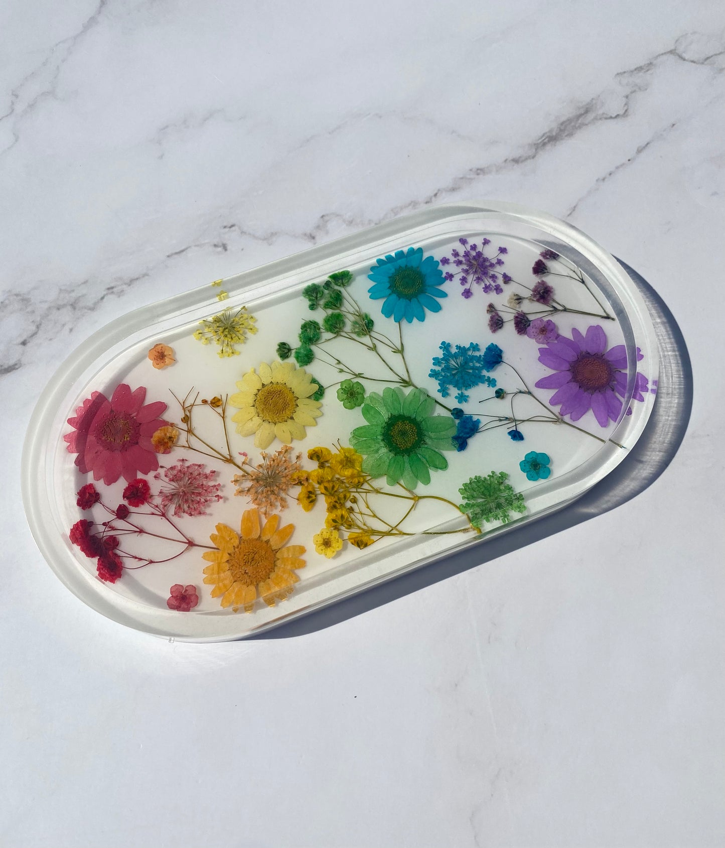 Rainbow Tray