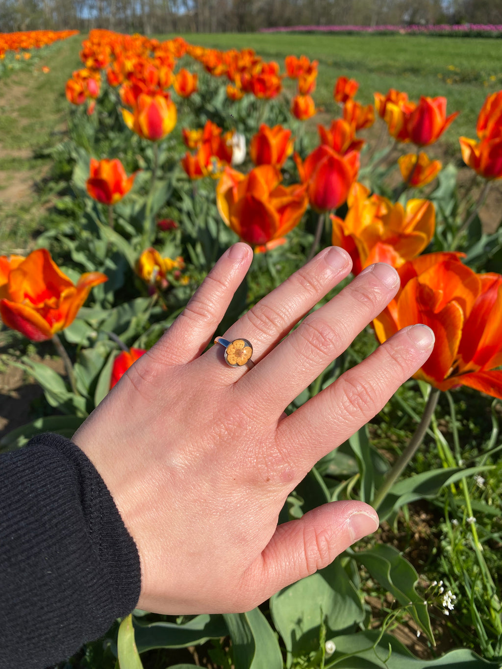 Silver Floral Stainless Steel Rings
