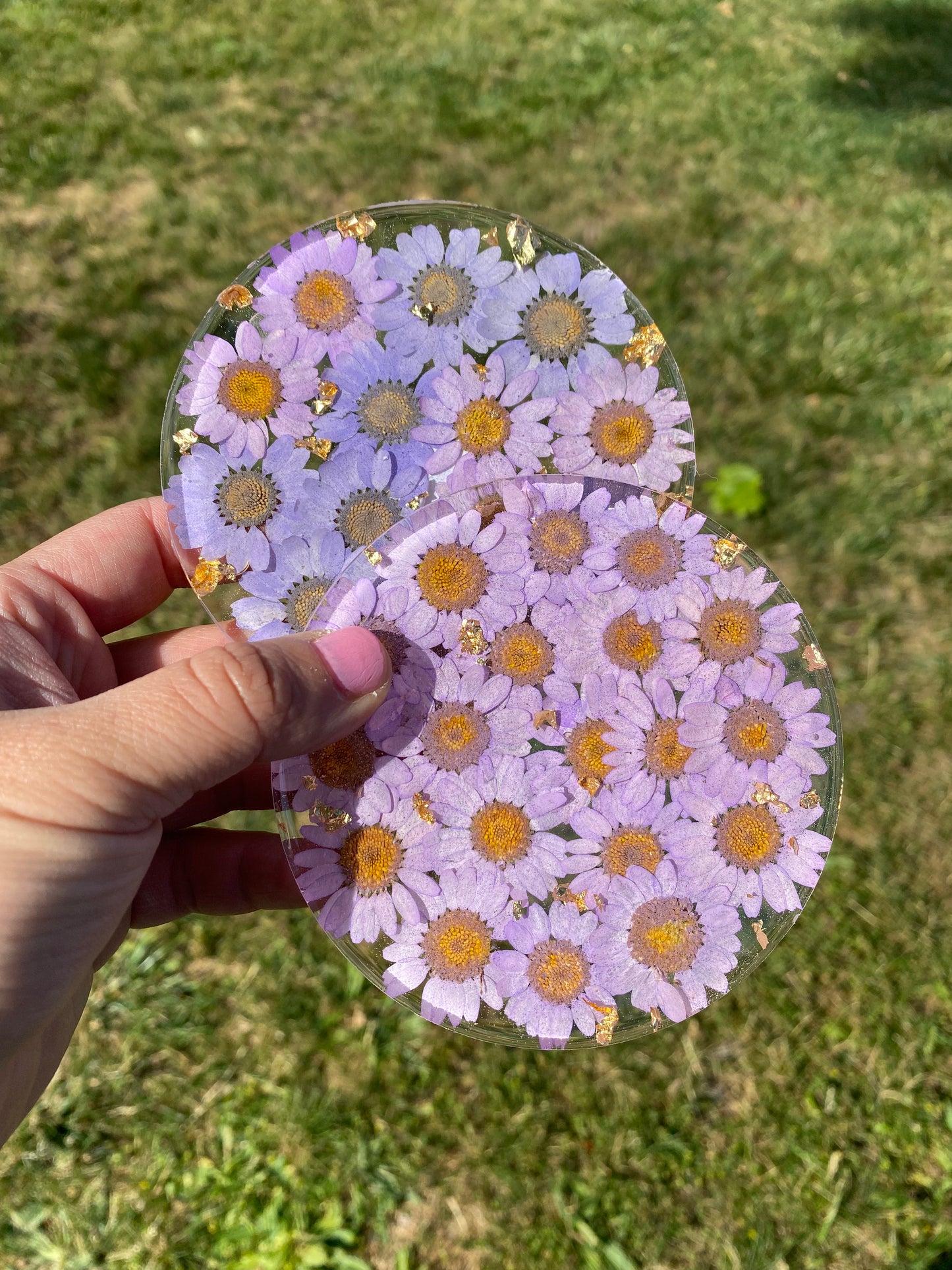 All Over Daisy Coaster Set