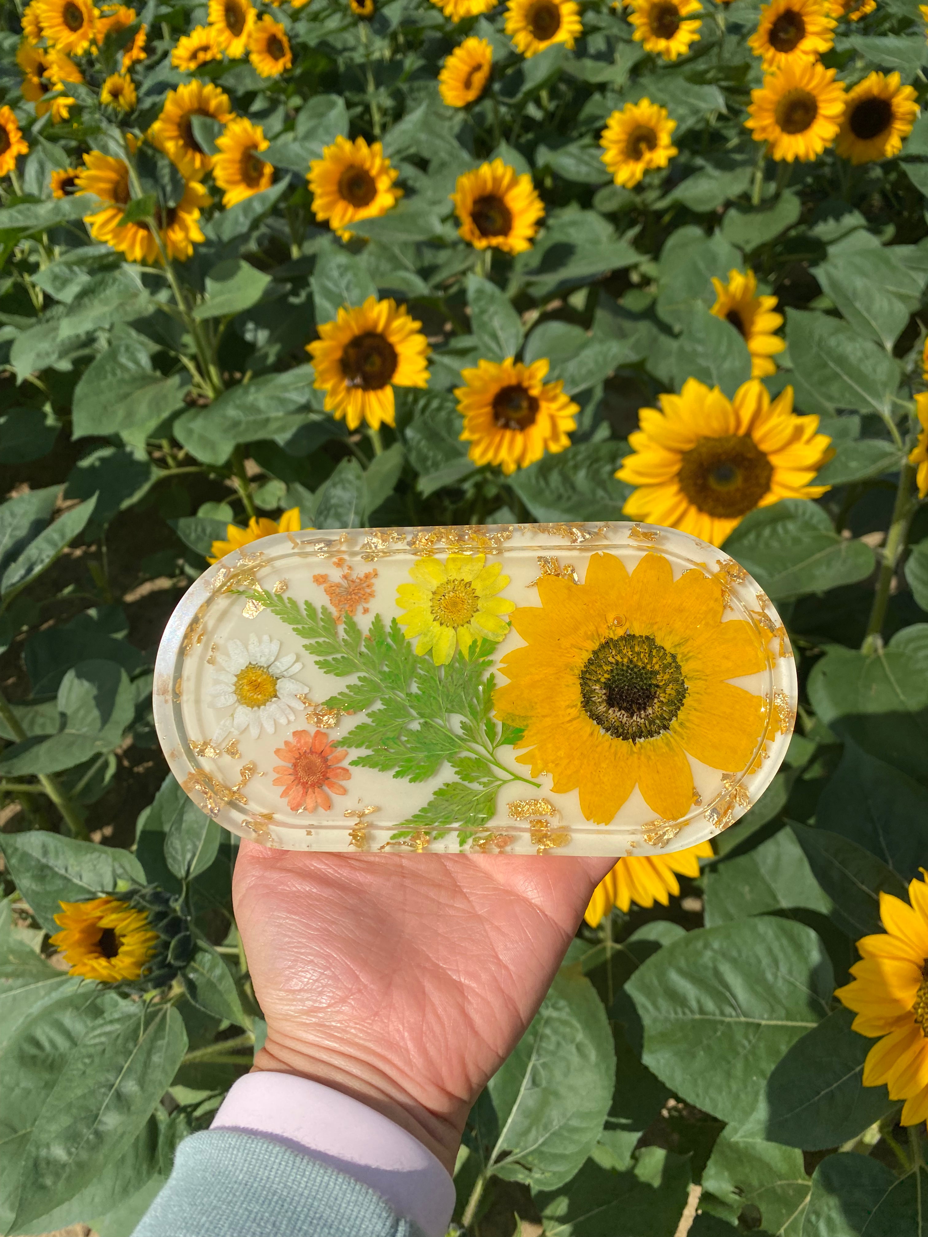 Sunflower Tray