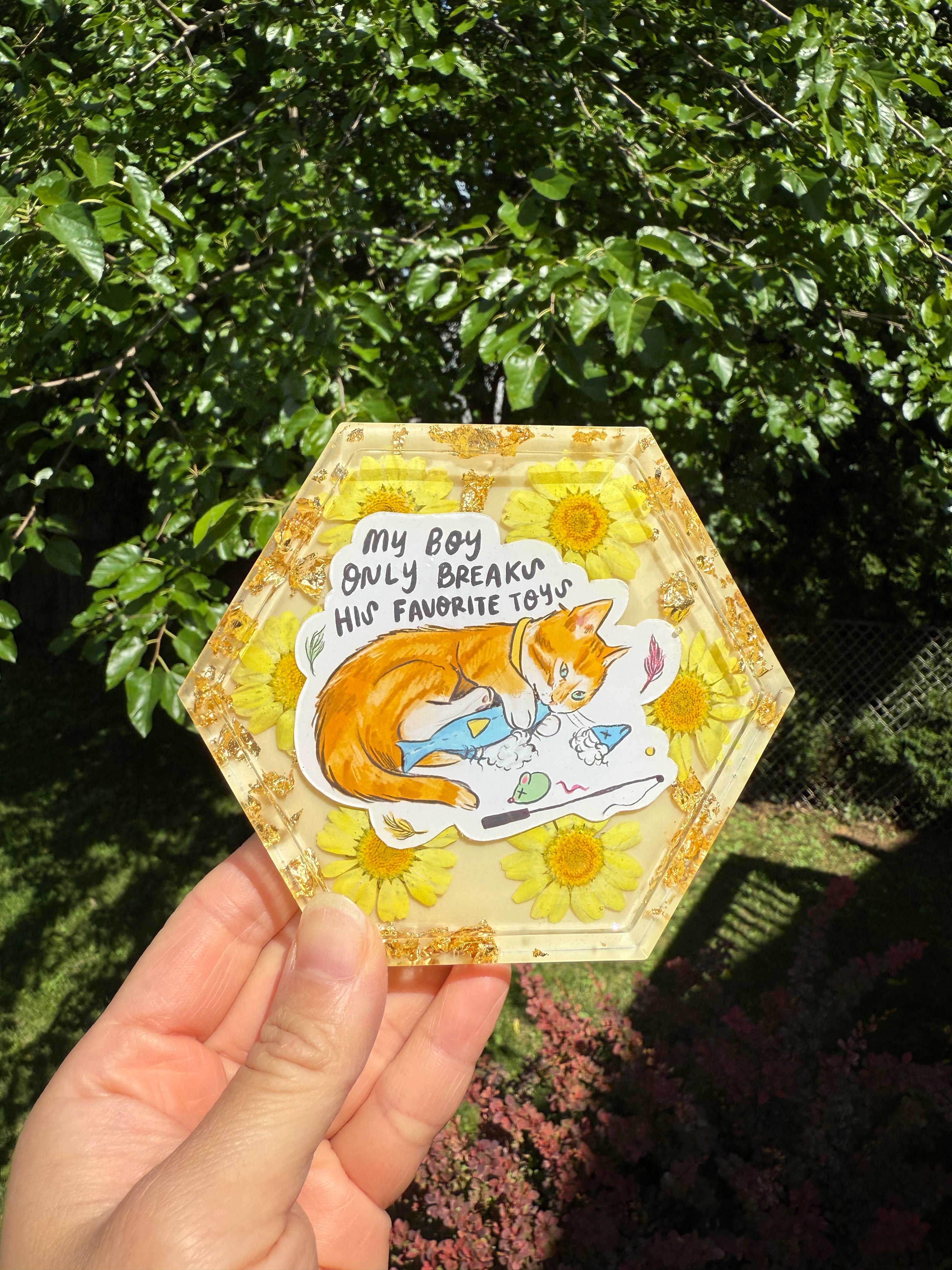 My Boy Only Breaks His Favorite Toys Hexagon Coaster