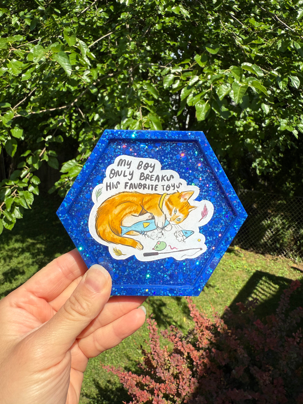 My Boy Only Breaks His Favorite Toys Hexagon Coaster