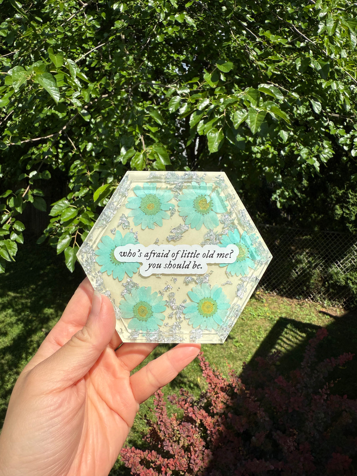 Who's Afraid of Little Old Me Hexagon Coaster