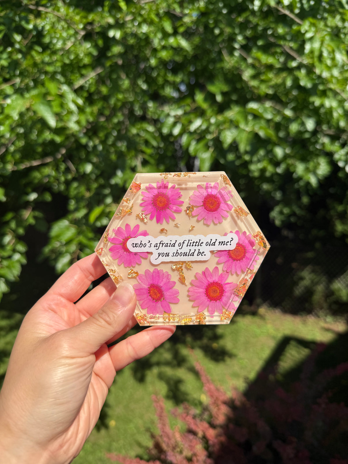Who's Afraid of Little Old Me Hexagon Coaster