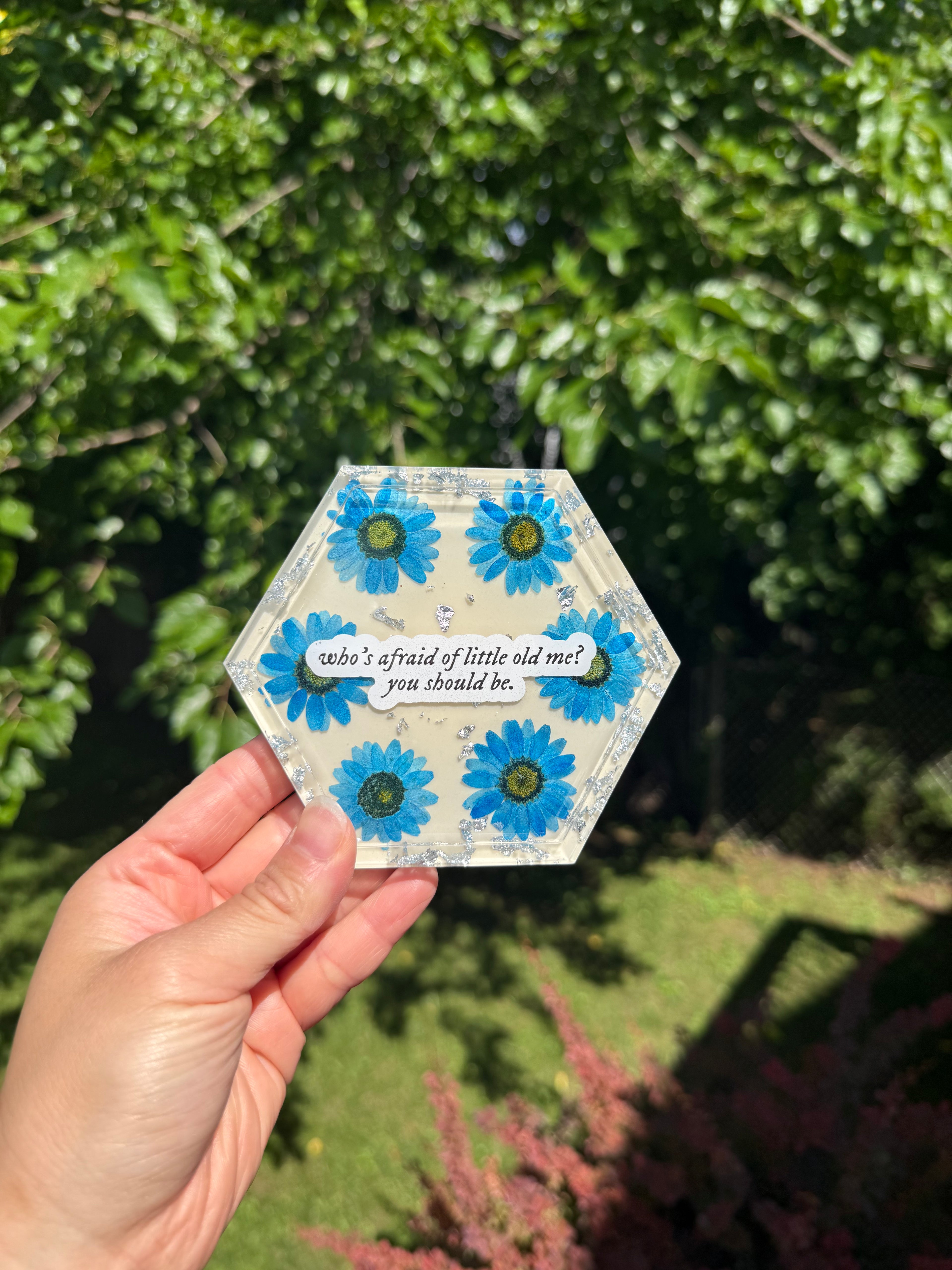 Who's Afraid of Little Old Me Hexagon Coaster